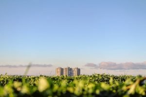 Three buildings on a green field with a blue sky during a moving day with good weather.