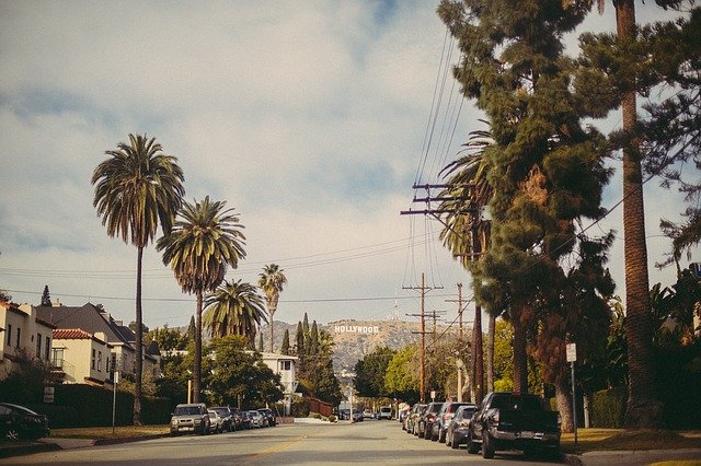 Enjoy the street with palm trees with interstate movers California.