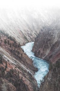 Moving plants across the country becomes easier with water - river