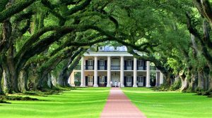 Interstate movers Louisiana are moving you to the state of trees and mansions.