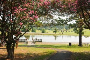 Park with trees, flowers, benches and a lake.