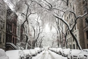 A winter in NY