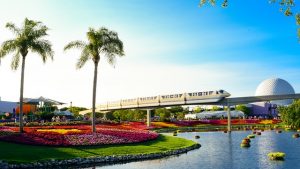 Electric train passing trough beautiful parks