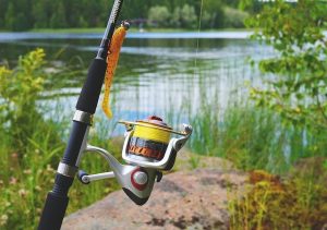 pack & move fishing equipment