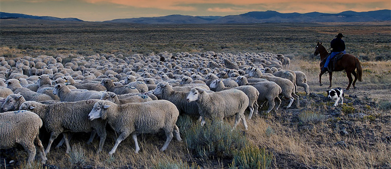 farm in Idaho