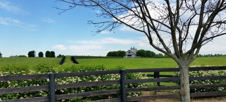 Horse farm in Kentucky