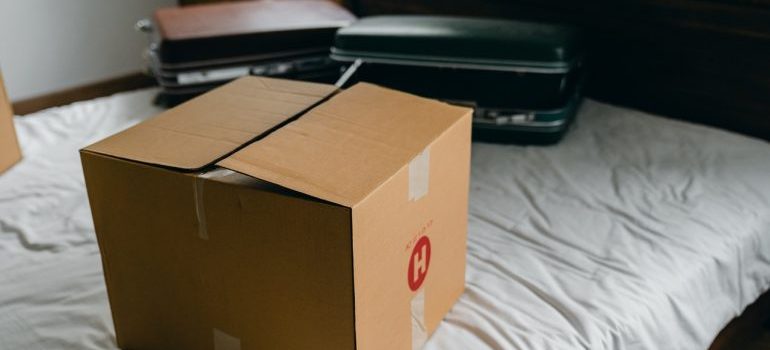 A box and two suitcases on bed