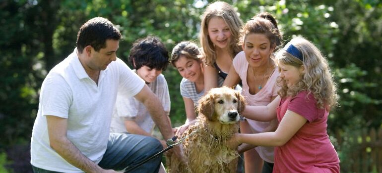 a family bathing their dog