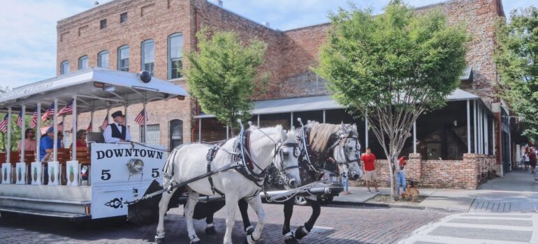 Moving to Delaware _ Horse carriage in historic downtown Wilmington.