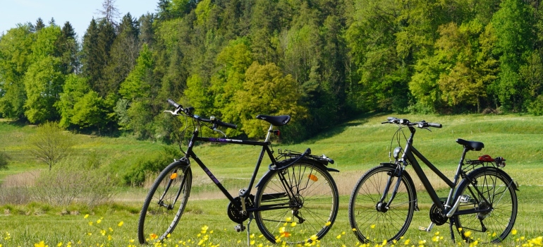 two bicycles in nature