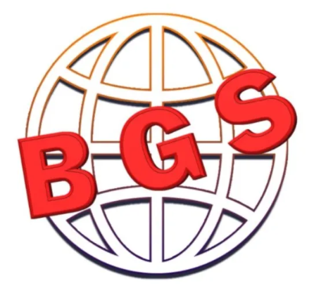 Best Global Service company logo