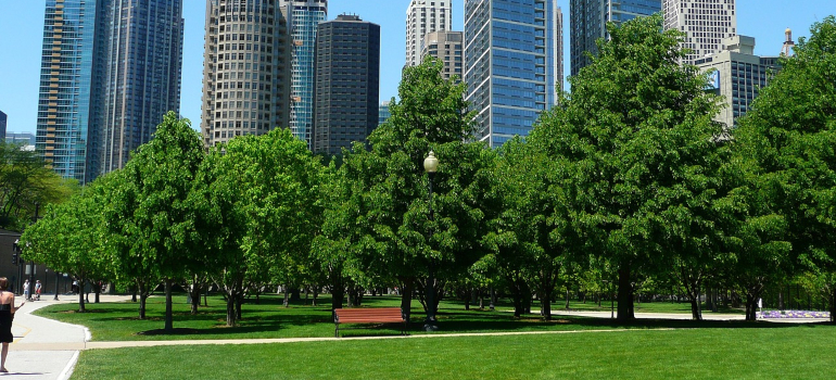 Park to visit after moving from Madison to Chicago