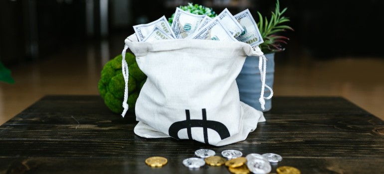 Bag with money 