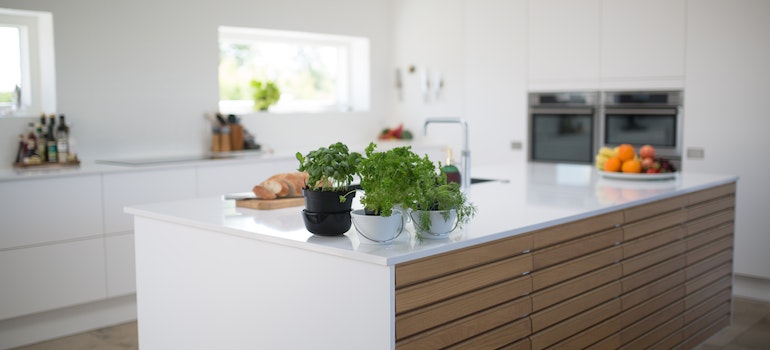 Fresh plants on a white kitchen countertop