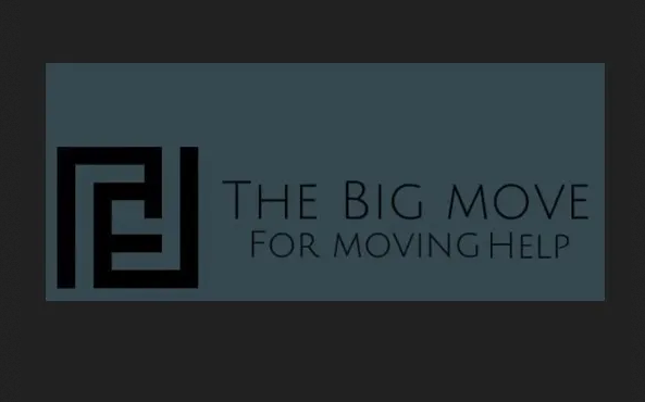 The Big Move company logo