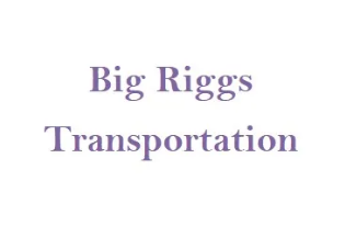 Big Riggs Transportation company logo