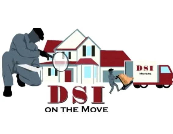 DSI On The Move company logo