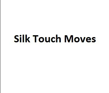 Silk Touch Moves company logo