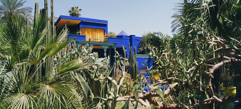 A blue house surrounded by a lush green garden with palm trees and cacti