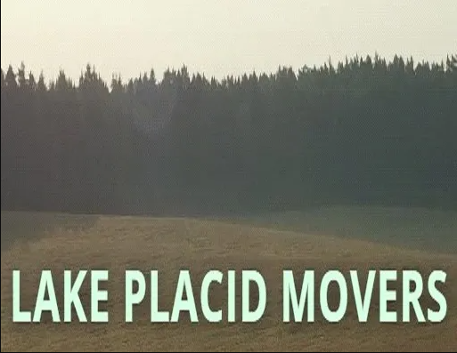 Lake Placid Moving & Storage company logo