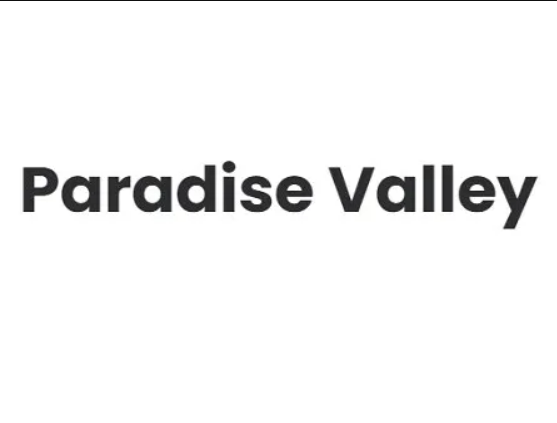 Paradise Valley company logo