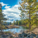 river trail forest