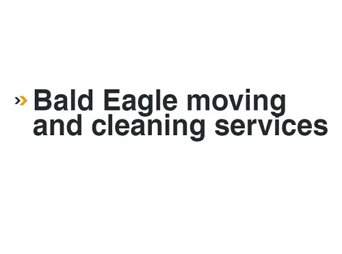 Bald Eagle moving logo