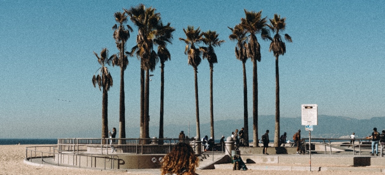 Picture of Venice Beach in LA 