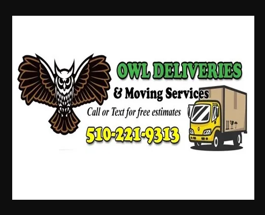 Owl Deliveries & Moving Services company logo