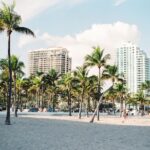 beach view of Miami with palm trees