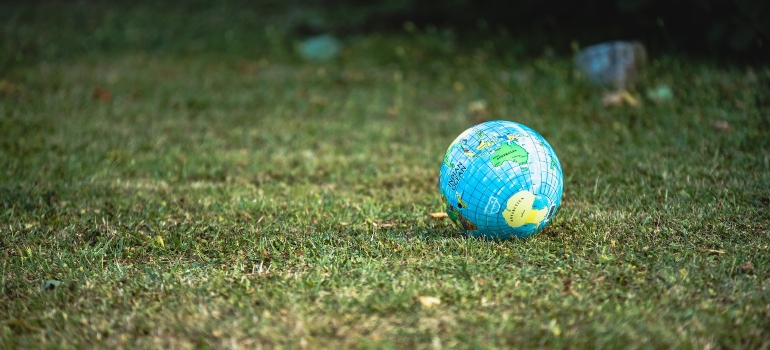 Picture of a globe in the grass 