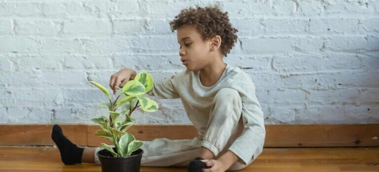 Young boy sitting on the floor and touching a green plant