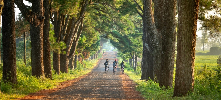 people walking down the road